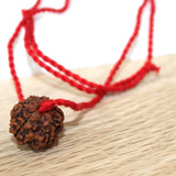Shiva pendant with 6 Mukhi Rudraksha mala bead, Kartikeya Mars yoga jewelry, big Rudraksh choker, Protection jewellery, Hindu necklace