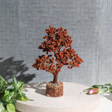 Rudraksha Tree