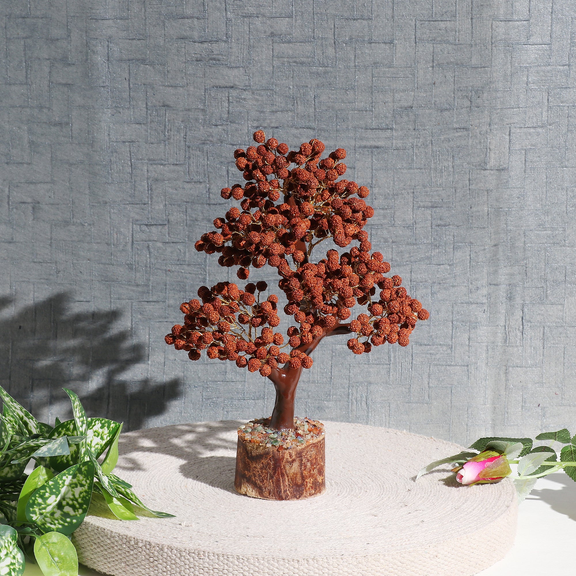 Rudraksha Tree - Urja Ghar