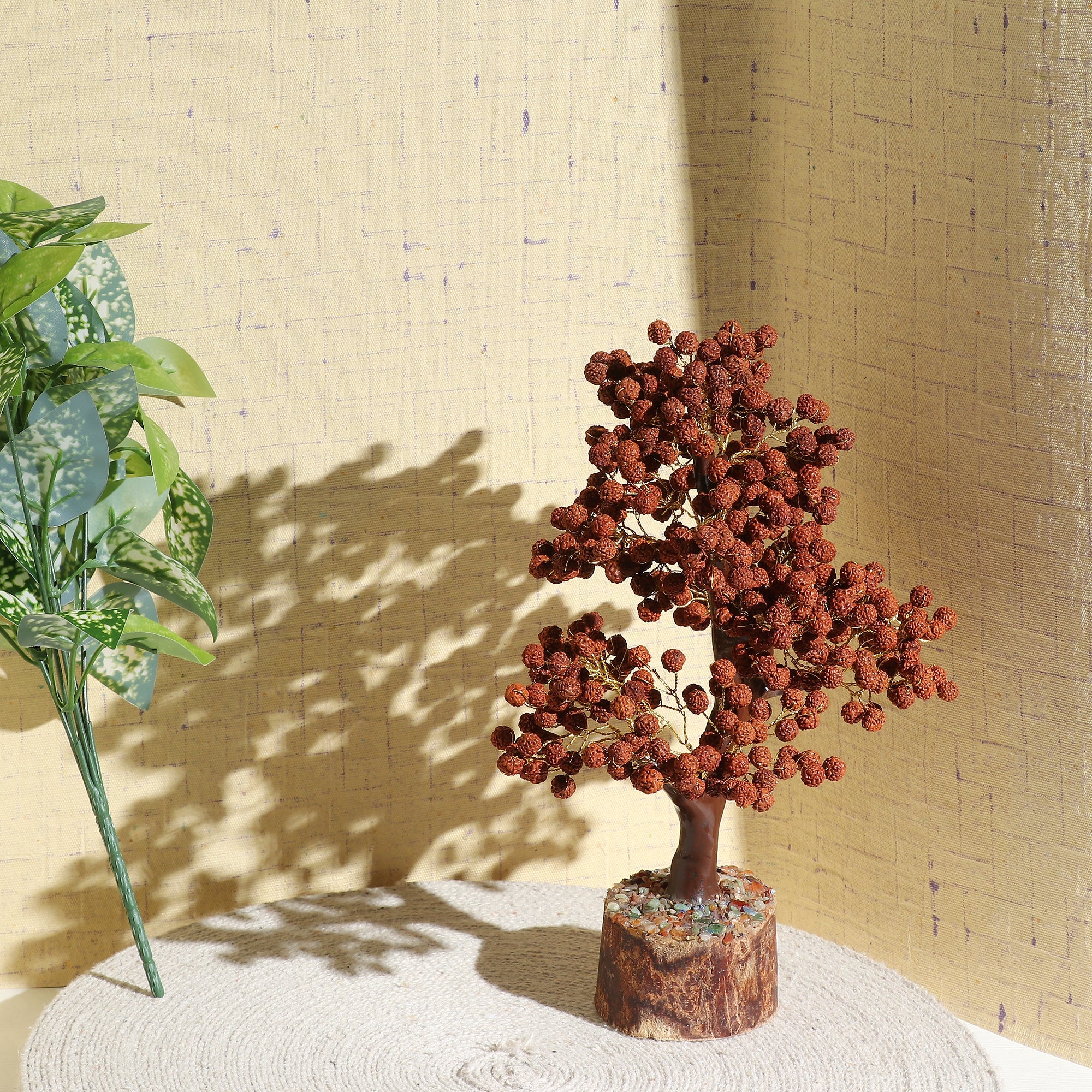 Rudraksha Tree - Urja Ghar