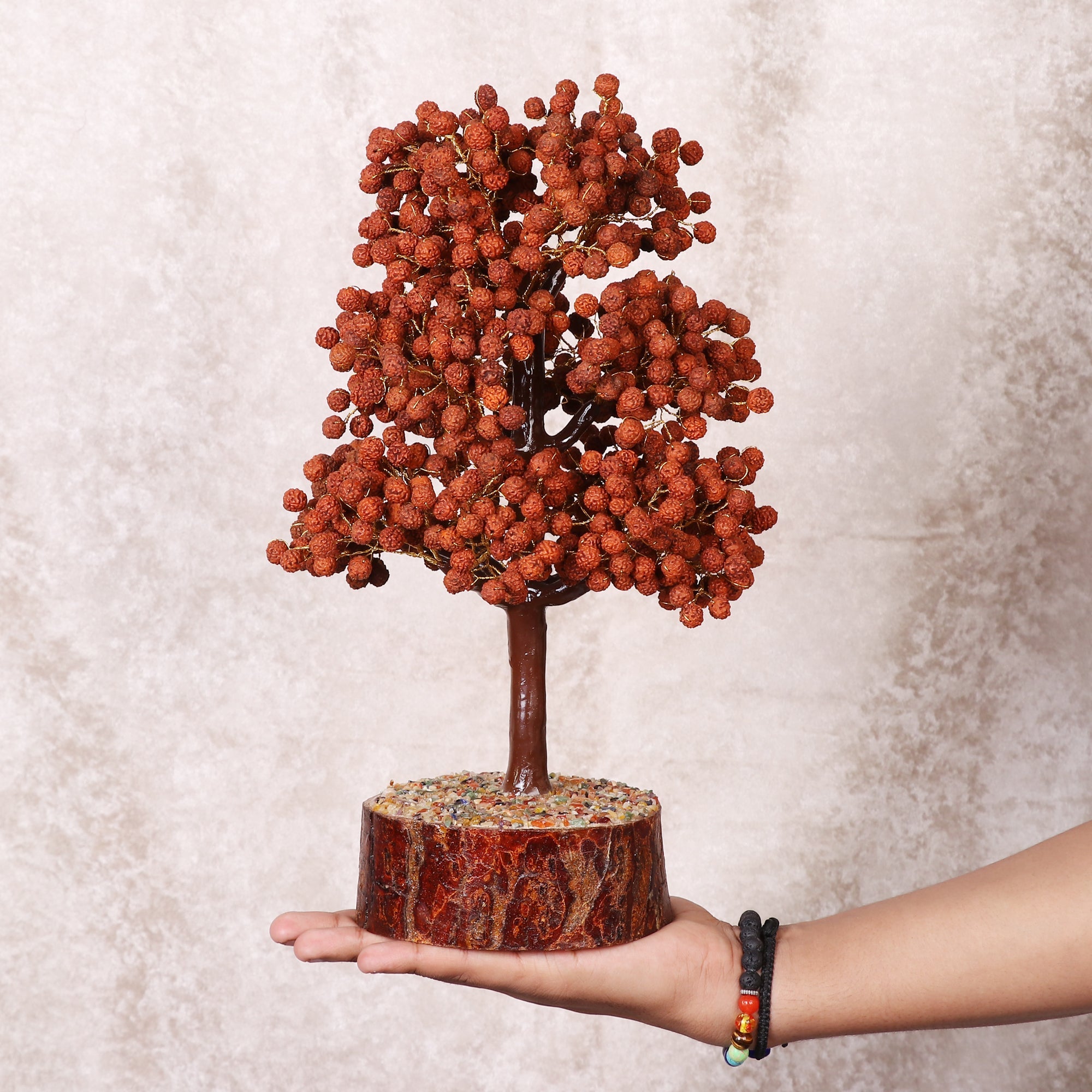Rudraksha Tree - Urja Ghar