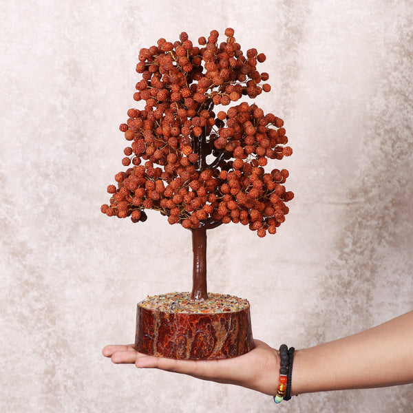 Rudraksha Tree - Urja Ghar