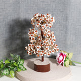 Gomati Chakra Tree with Rudraksha