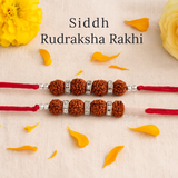 Siddh Rudraksha Rakhi