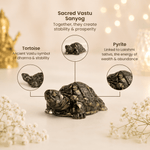 Vastu Pyrite Tortoise (Kachhua) - Urja Ghar