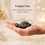 Vastu Pyrite Tortoise (Kachhua) - Urja Ghar
