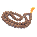 9 Mukhi Mala / Kantha Beads Lab Certified