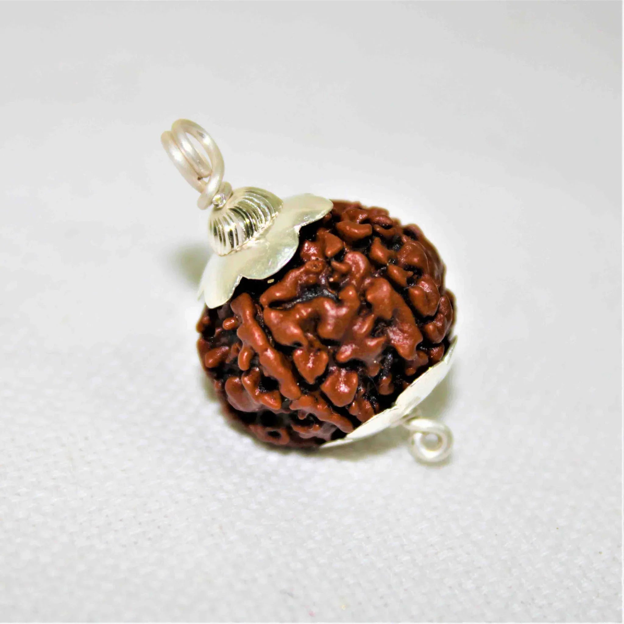 Natural 5 Mukhi/Face Rudraksha (Nepal Origin) - Urja Ghar