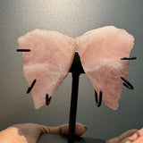 Rose Quartz Butterfly (Limited Edition)