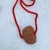 10 Mukhi Rudraksha  Nepal Certified