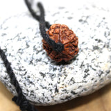 Panchmukhi Rudraksha, 5 Mukhi Nepalese Collector Rudraksha Bead Adjustable Cord, Spiritual Gifts, Five Faced Rudraksha Seed, Mahadeva Shiva