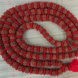 20-21mm 108 plus 1 bead Nepal Rudraksha