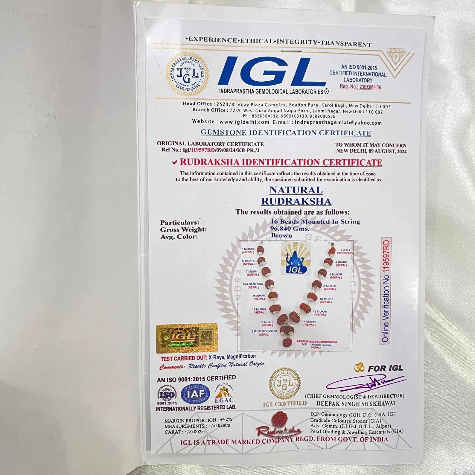 Siddha Mala 1-14 Mukhi Rudraksha Beads, Collector Rudraksha - Urja Ghar
