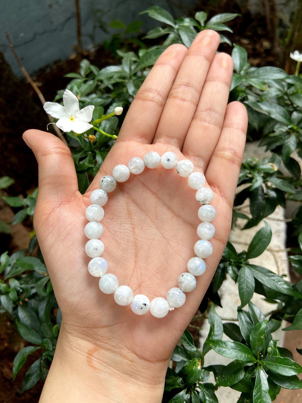 Genuine online moonstone bracelet